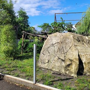 South American coati exhibit -Zoo du bassin d'Arcachon (2024)
