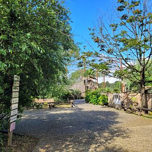 View thorwards South American aviary -Zoo du bassin d'Arcachon (2024)