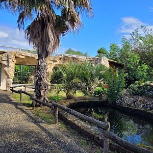 Ocelot area -Zoo du bassin d'Arcachon (2024)