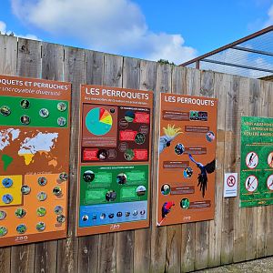 Psittaciformes signs -Zoo du bassin d'Arcachon (2024)