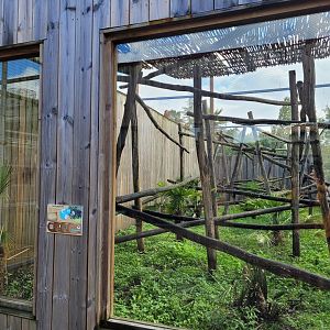 White-faced capuchin exhibit -Zoo du bassin d'Arcachon (2024)