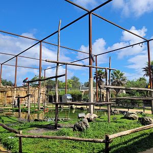 South American aviary -Zoo du bassin d'Arcachon (2024)