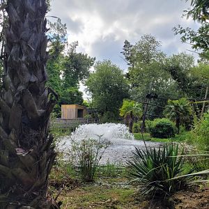 View thorwards monkey house -Zoo du bassin d'Arcachon (2024)