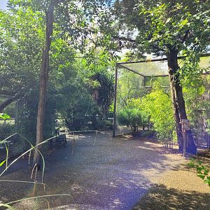 South American monkey area -Zoo du bassin d'Arcachon (2024)