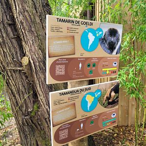Paraguayan tamandua and Goeldi's marmoset signs -Zoo du bassin d'Arcachon (2024)