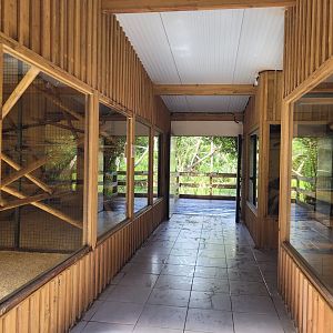 View inside monkey house -Zoo du bassin d'Arcachon (2024)