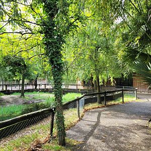 View of South American area -Zoo du bassin d'Arcachon (2024)
