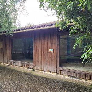 Capybara, Darwin's rhea and Yucatan margay house -Zoo du bassin d'Arcachon (2024)