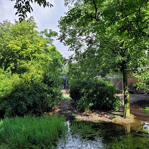 Giant anteater, Bolivian squirrel monkey and waterfowl exhibit -Zoo du bassin d'Arcachon (2024)