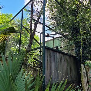 Backside of the kookaburra aviary -Zoo du bassin d'Arcachon (2024)