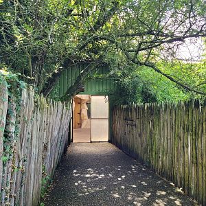 Entrance to the Indian rhino greenhouse -Zoo du bassin d'Arcachon (2024)