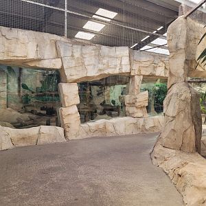 Indian rhino greenhouse -Zoo du bassin d'Arcachon (2024)