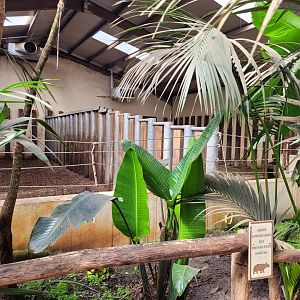 Indian rhinoceros indoors stalls -Zoo du bassin d'Arcachon (2024)