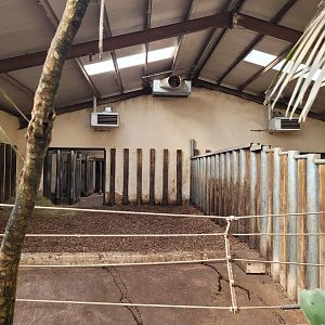Indian rhinoceros indoors stalls -Zoo du bassin d'Arcachon (2024)