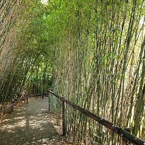 Outside the greenhouse -Zoo du bassin d'Arcachon (2024)