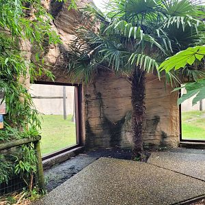 Viewing area of the first orangutan exhibit -Zoo du bassin d'Arcachon (2024)