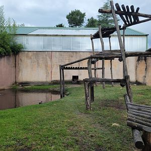 Bornean orangutan and Indochinese smooth-coated otter exhibit -Zoo du bassin d'Arcachon (2024)