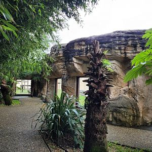 Viewing area of the first orangutan exhibit -Zoo du bassin d'Arcachon (2024)