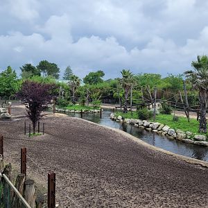 Indian rhinoceros exhibit with gibbon island in the middle of the lake -Zoo du bassin d'Arcachon (2024)