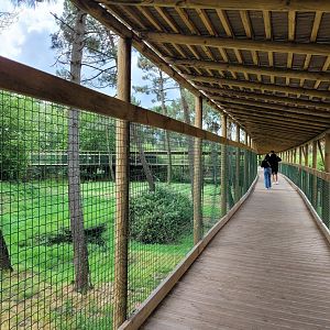 Broadwalk view -Zoo du bassin d'Arcachon (2024)