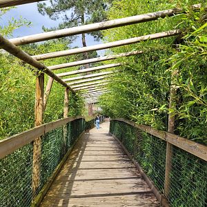 Broadwalk view -Zoo du bassin d'Arcachon (2024)