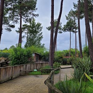 View thorwards big african aviary -Zoo du bassin d'Arcachon (2024)