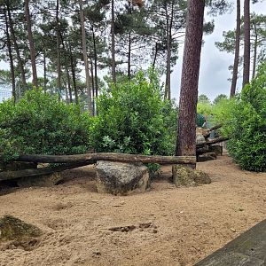 Meerkat exhibit -Zoo du bassin d'Arcachon (2024)