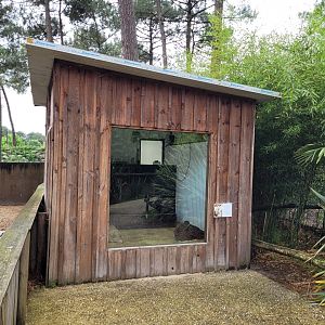 Meerkat house -Zoo du bassin d'Arcachon (2024)