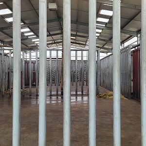 Elephant house -Zoo du bassin d'Arcachon (2024)