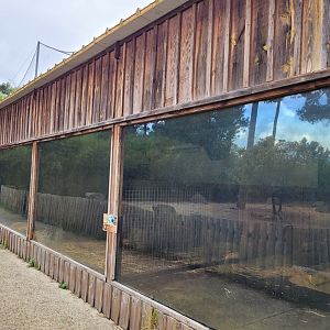 Pygmy hippo house -Zoo du bassin d'Arcachon (2024)