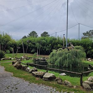 African aviary -Zoo du bassin d'Arcachon (2024)