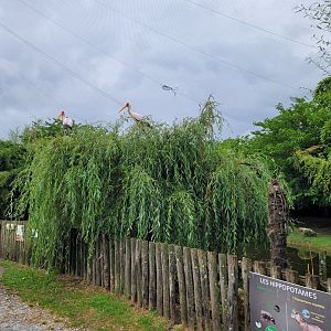 African aviary -Zoo du bassin d'Arcachon (2024)