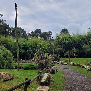 African aviary -Zoo du bassin d'Arcachon (2024)