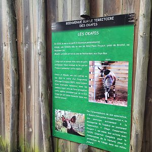 Okapi sign -Zoo du bassin d'Arcachon (2024)