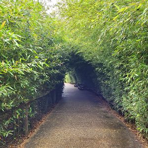 View thorwards okapi house -Zoo du bassin d'Arcachon (2024)