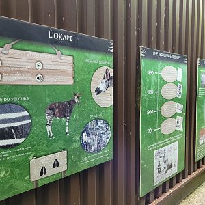 Okapi sign -Zoo du bassin d'Arcachon (2024)