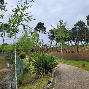 View from okapi exhibits -Zoo du bassin d'Arcachon (2024)