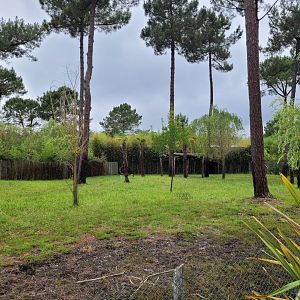 Okapi and Kirk's dik-dik exhibit -Zoo du bassin d'Arcachon (2024)
