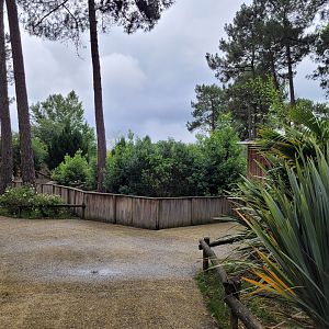 Back to the main zoo -Zoo du bassin d'Arcachon (2024)