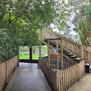 Lion viewing area -Zoo du bassin d'Arcachon (2024)