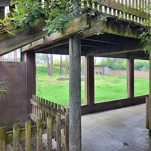 Lion viewing area -Zoo du bassin d'Arcachon (2024)