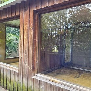 Meerkat and Fennec house -Zoo du bassin d'Arcachon (2024)