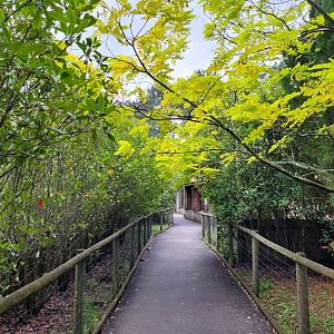Path with small carnivoran enclosures -Zoo du bassin d'Arcachon (2024)