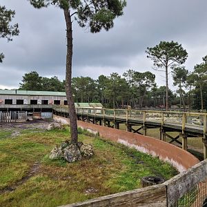 Broadwalk view -Zoo du bassin d'Arcachon (2024)