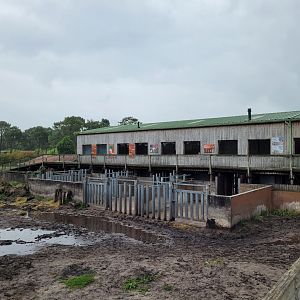 Black rhino and giraffe house -Zoo du bassin d'Arcachon (2024)