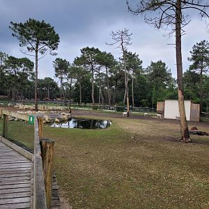 Rothschild's giraffe, Grevy's zebra and Scimitar-horned oryx exhibit -Zoo du bassin d'Arcachon (2024)