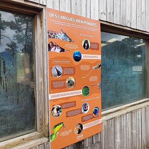 Tounge sign -Zoo du bassin d'Arcachon (2024)