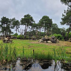 Gelada exhibit -Zoo du bassin d'Arcachon (2024)