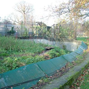 Ratel exhibit at Howletts 26/11/09