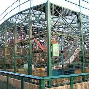 Gorilla cages at Howletts 26/11/09